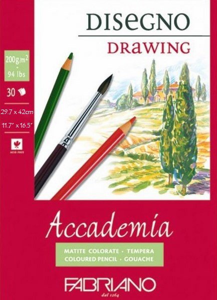 Accademia Drawing A3 297 x 420 mm